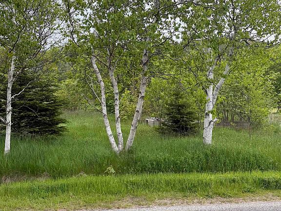 2nd image of 262 Trout Cove Rd