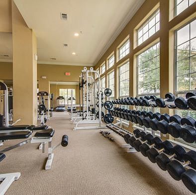 gym 1