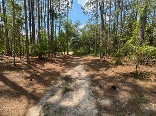 SW 99th Ln LOT 4, Dunnellon, FL 34432