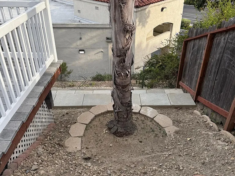 1641 Wesley Way — Photo 17