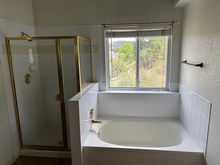 Master bath and shower