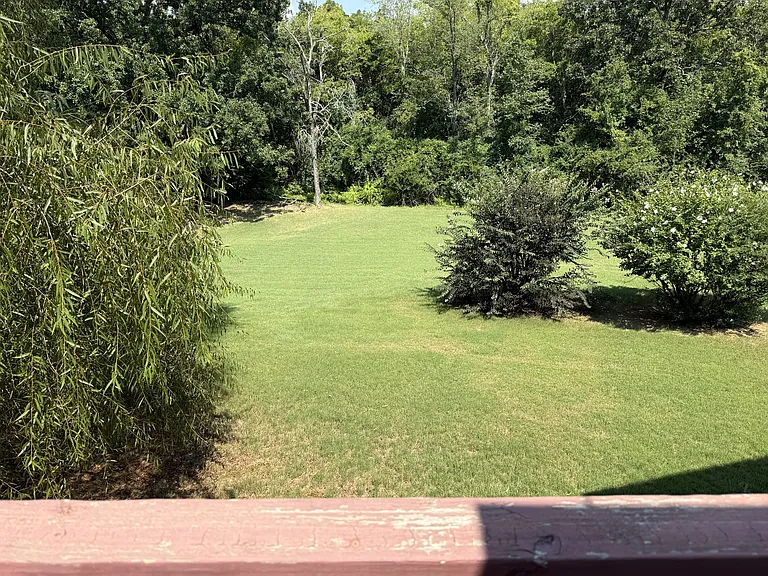 124 Oak Bend Loop — Photo 19