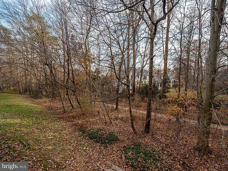 10332 Mockingbird Pond Ct — Photo 41
