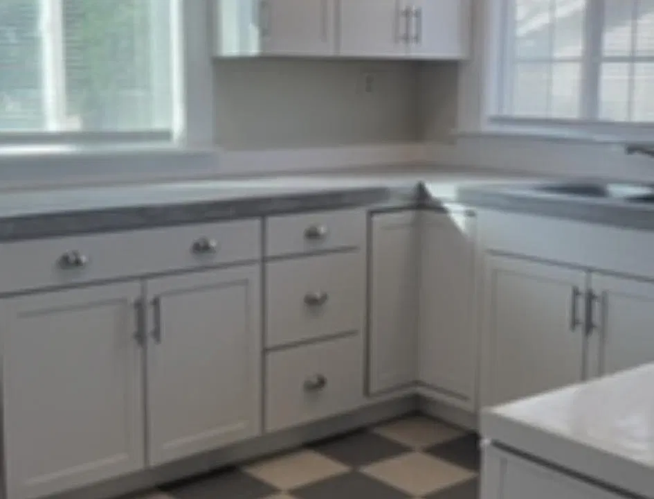Newly Remodeled Kitchen