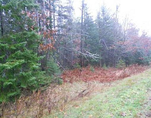 2nd image of 0 North Searsport Road