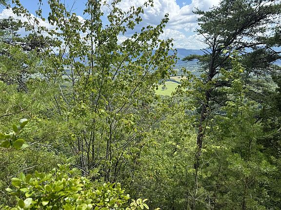 2nd image of 0 Mountain Lake Dr #55