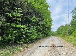 313 Williams Cir, Lake Lure, NC 28746