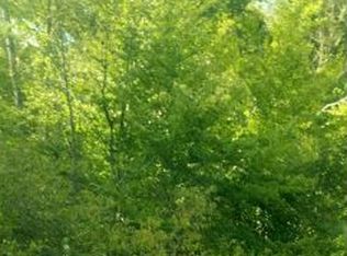 Tbd Ocoonita Rd, Jonesville, VA 24263