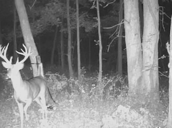 0 State Highway Y, Purdin, MO 64674