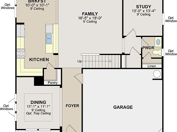 First Floor