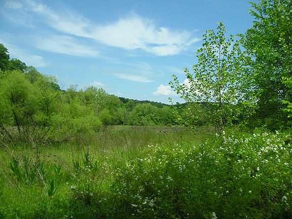 3rd image of Elizabethton Hwy