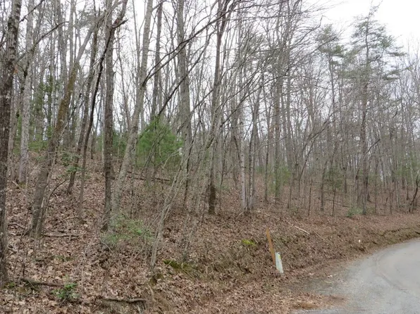 Queens Ave, Blue Ridge, GA 30513