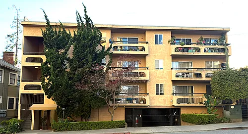 Piedmont Oasis Photo 1