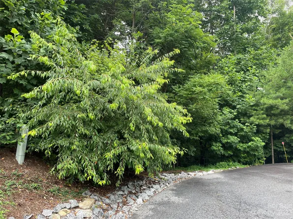 0 Hickory View Ln #43, Flat Rock, NC 28731