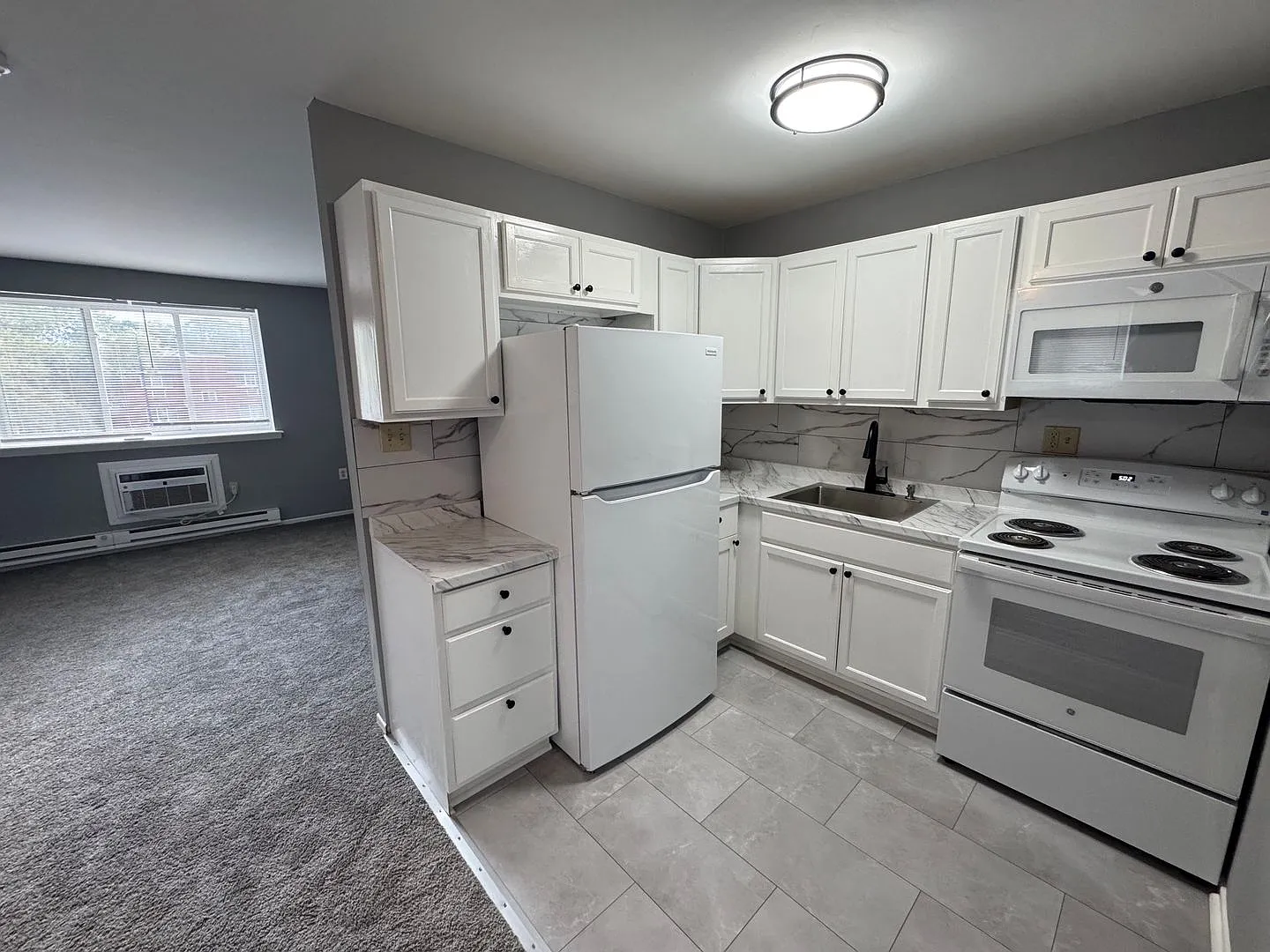 203 E Chestnut Street — Photo 3
