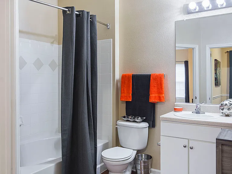 Model Bathroom