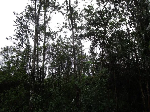 Road 7 Opeapea Lot 4566, Kurtistown, HI 96760