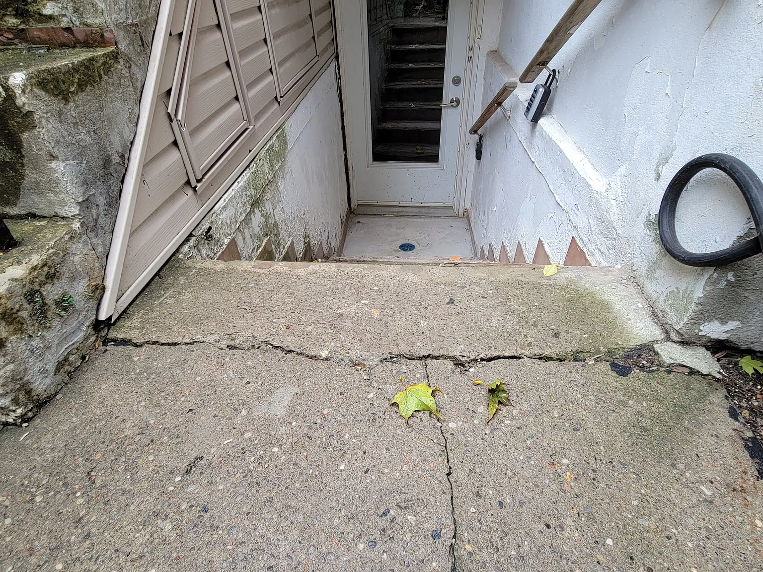 1 bed, $1,450 — Photo 3