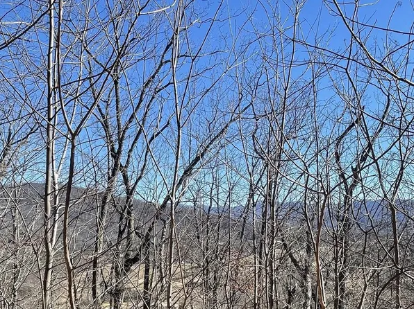 60 & 61J Mountain Harbour, Hayesville, NC 28904