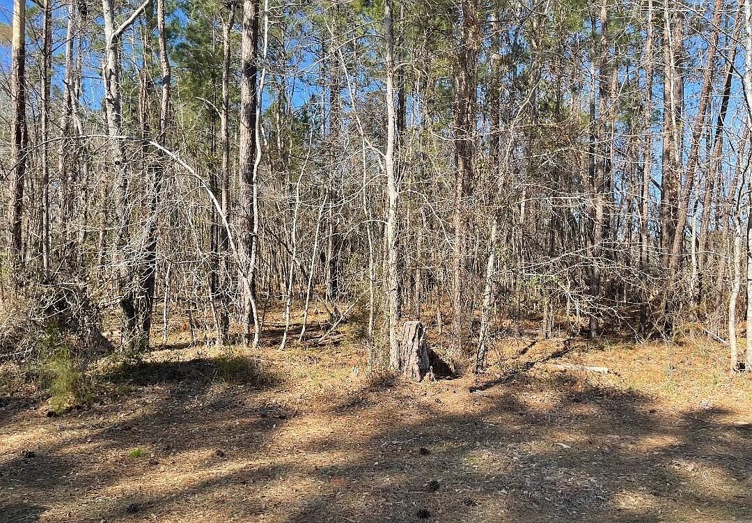 N Forteen Captain Johnsons Dr