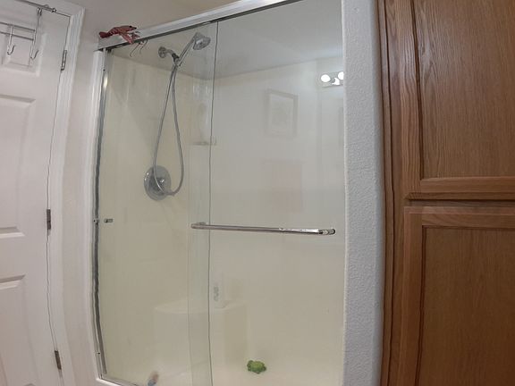 Master bath shower