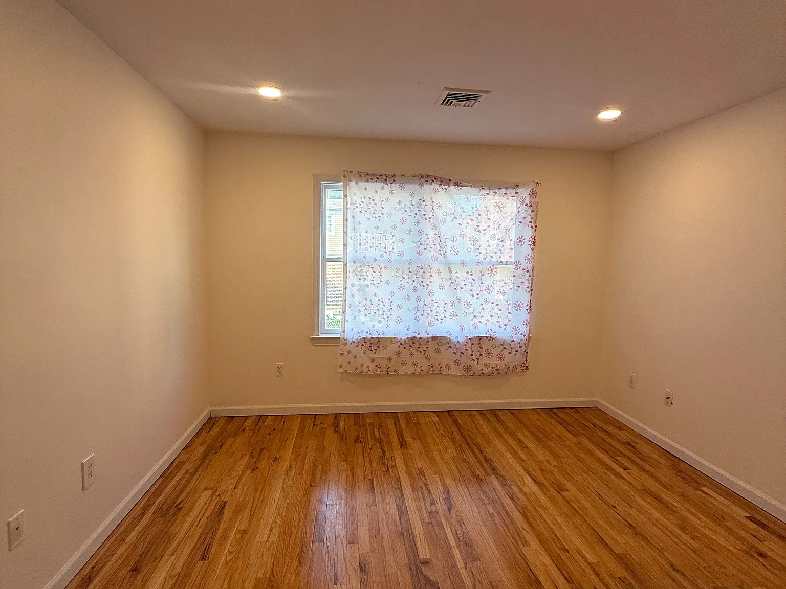 20 Courtney Pl — Photo 4