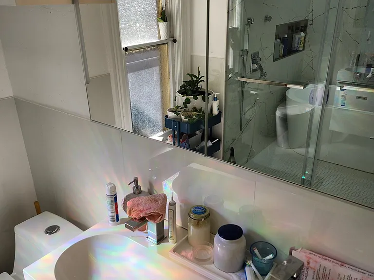 Updated luxury bathroom with walk-in rain shower and separate bath.