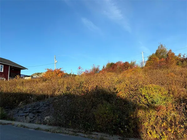 57 Badcock Boulevard, Bay Roberts, NL A0A-1G0