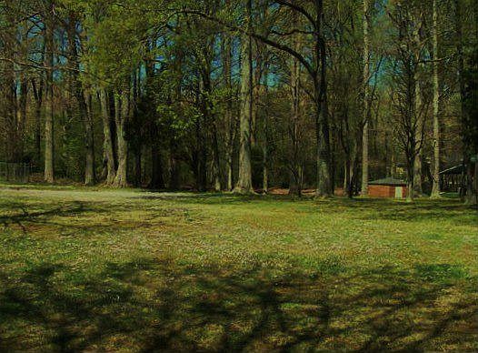 View of Backyard