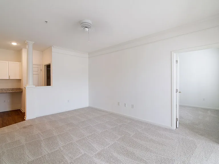 Avemore Apartment Homes — Photo 33