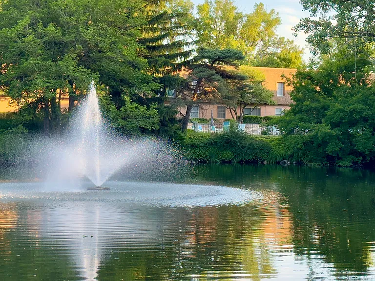 Water fountain in the main pond