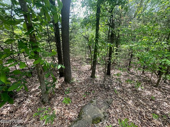 2nd image of 1485 Cowan Ridge Rd