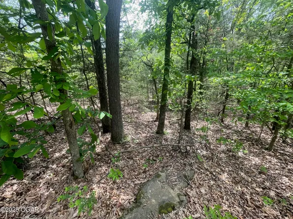 1485 Cowan Ridge Rd, Powell, MO 65730