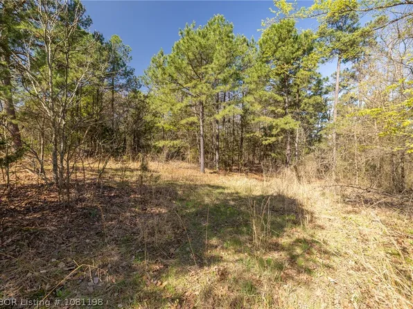1 Hamilton Hill Rd, Booneville, AR 72927