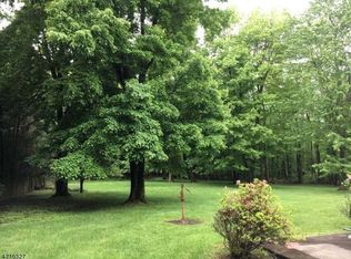 278 Spring Hill Rd, Skillman, NJ 08558