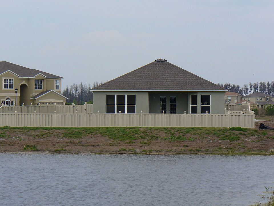 Back View