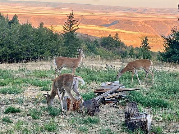 3rd image of 19378 Homestead Loop