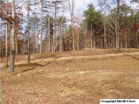 2nd image of 892 County Road 633