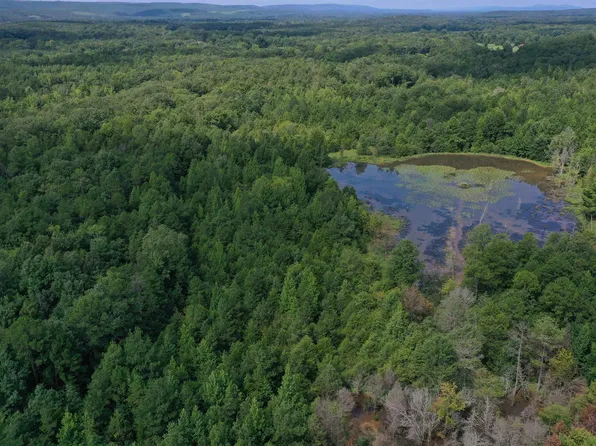 0 Highway 10 W, Casa, AR 72025