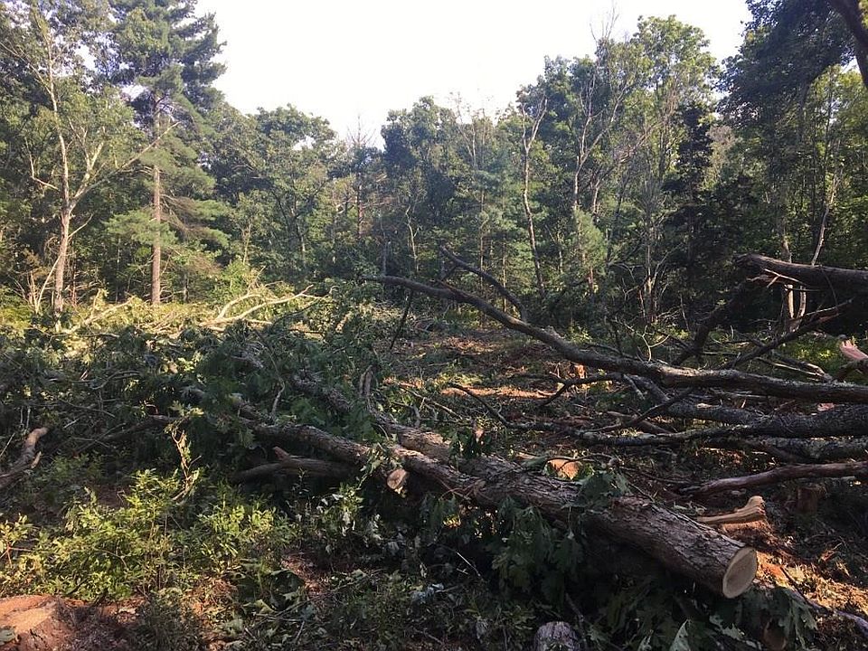 2nd image of 29 Bayberry Rd