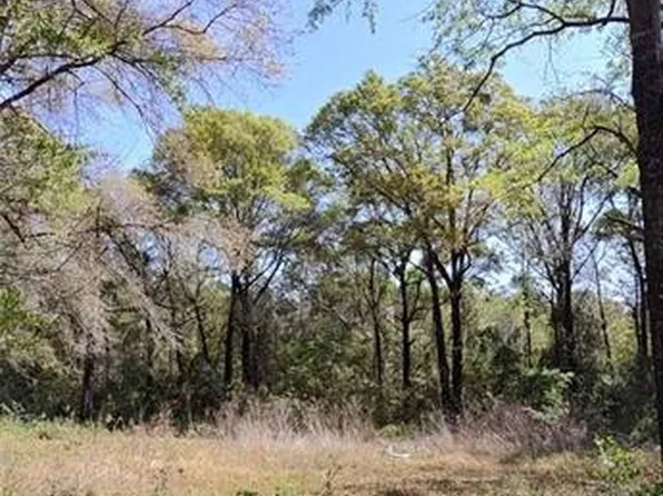 4710 John Sims Road E, Wilmer, AL 36587