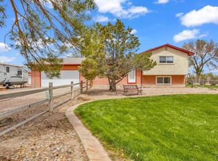 47801 Pheasant Crest Rd, Avondale, CO 81022