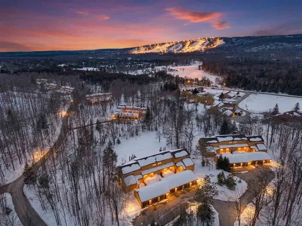 4749 S Pleasantview Rd Unit 91, Harbor Springs, MI 49740