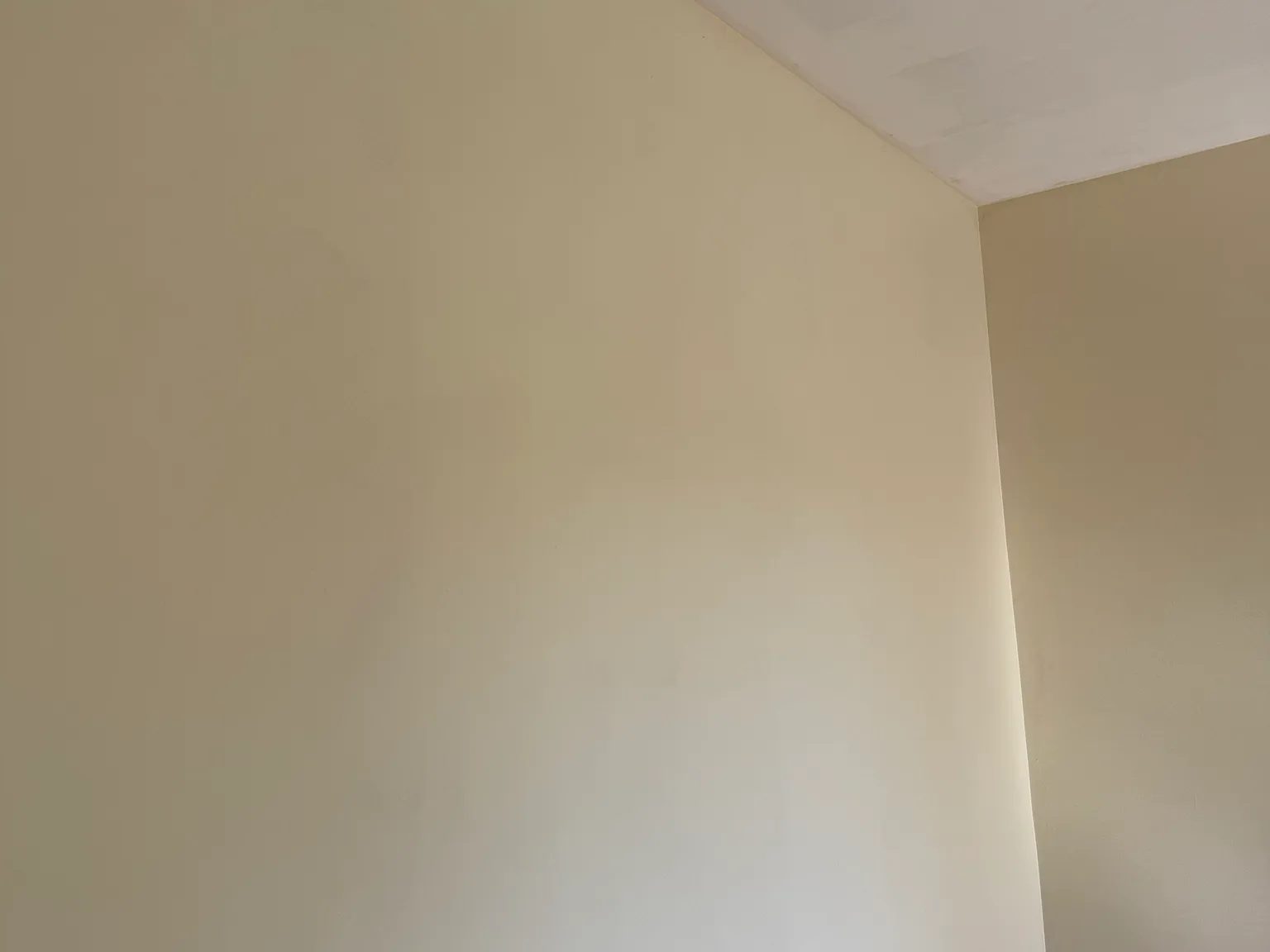 1 bed, 225 sqft, $795 — Photo 3