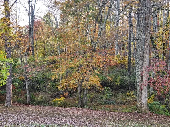 0 S Amherst Hwy Lot 107A, Amherst, VA 24521