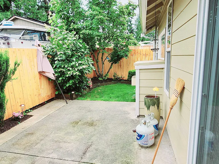 Backyard_2
