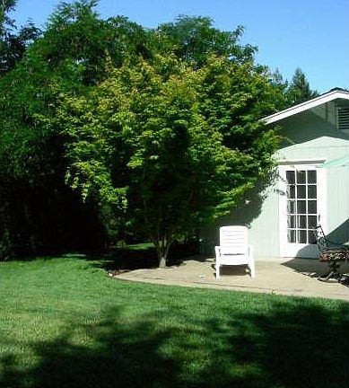4th image of 323 S Navarra Dr