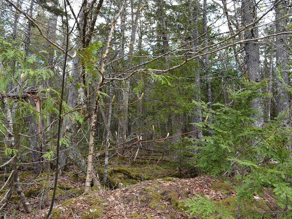 0 High Point Dr 97, Penobscot, ME 04476 MLS 1558450 Zillow
