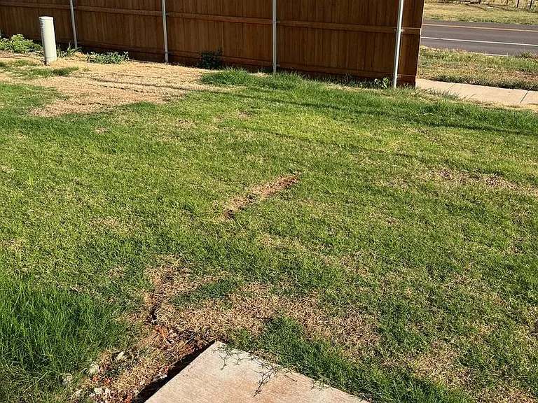 2917 Caretta Ct — Photo 12