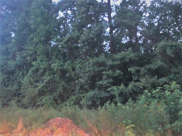2nd image of 13152 County Road 3104